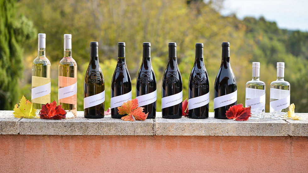Gamme complète des vins biologiques Clos de Caveau