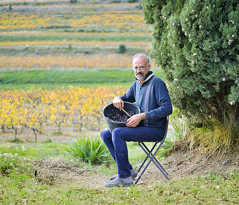 Henri Bungener seated in the vineyard, reflecting his study and experimentation of terroir