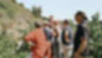 Henri guide les visiteurs à travers le vignoble du Clos de Caveau.