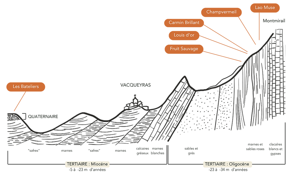Diagram showing soil strata and related wines, illustrating three Vacqueyras red cuvées