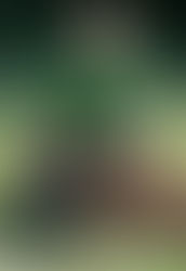 Aspen Glo Jessie's Girl "Ellie" NA Prize 1 at 4 months...