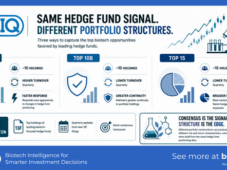 Top 10A vs Top 10B vs Top 15: Understanding BPIQ's Core Portfolio Strategies