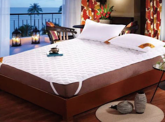 Protector_four comers with elastics.jpg