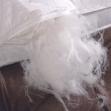 Microfiber Fill.jpg