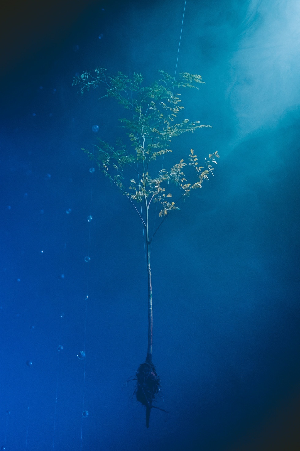DSCF5163.jpg
