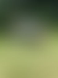 The benefit of yoga is real folks