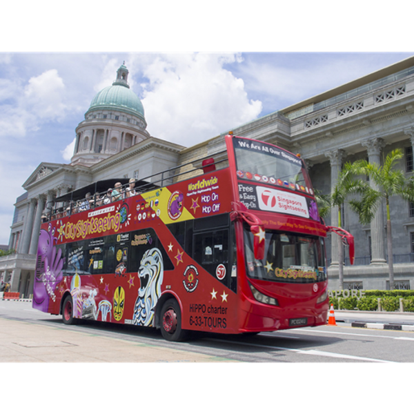 Hippo Bus_large.jpg