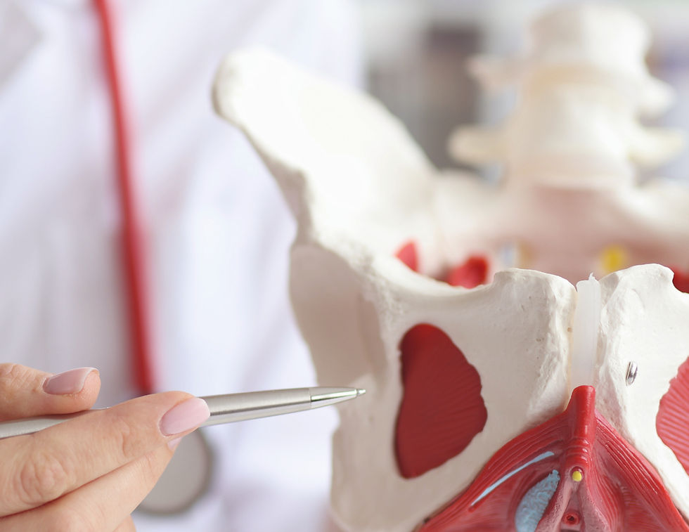 Pelvic Floor Disorders: What's Normal, What's Not, and What You Can Do About It