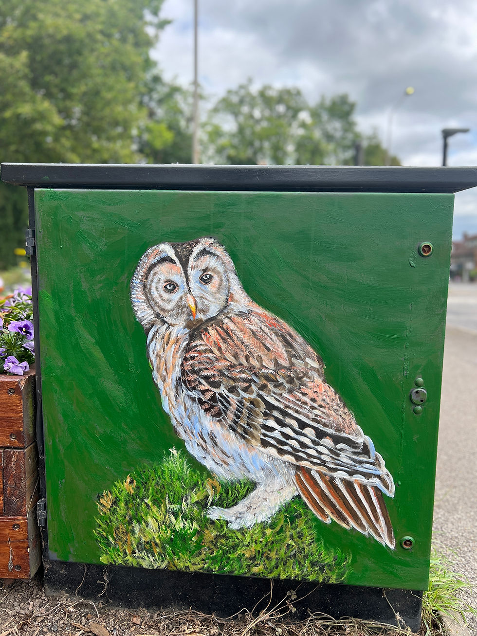 PublicArt_AmershamCouncil