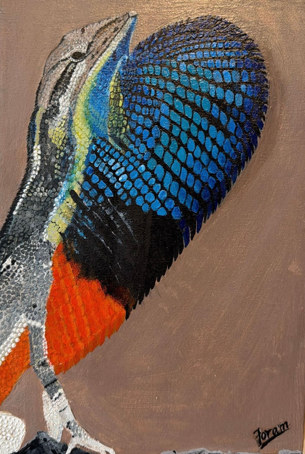 Fan-throated multicoloured lizard
