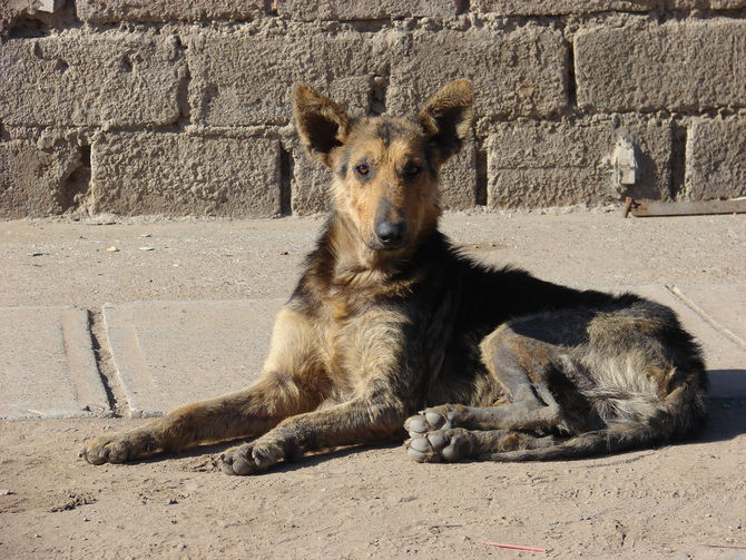 Coquimbo: La cruda y ácida carta de reclamo en contra del alcalde de Coquimbo que se está viralizand