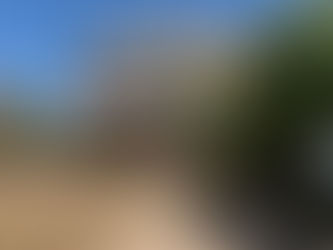 Ostia, Il Centro Diurno Alzheimer "Le Betulle" compie 10 anni di attività