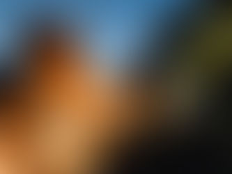 Al Castello di Tor Crescenza il «Dinner Opera Show» tra lirica e piatti gourmet