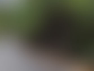 Crolla un albero in via Pareto, chiusa la strada. I residenti: «File interminabili»