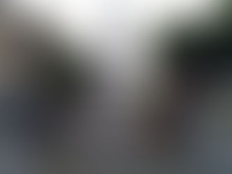 Sempione, bus Cotral finisce contro una recinzione: ferita una donna