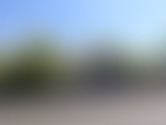 Potature, viale dello Stadio Olimpico chiude per lavori urgenti 4 e 5 settembre