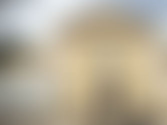 West Nile, seconda vittima nel Lazio: morto un uomo allo Spallanzani