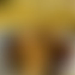 Alla scoperta degli scialatielli che affacciano sui Fori Imperiali: tappa da Osteria Maracuja