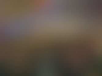 Manifestazione contro l'omofobia a piazza Malatesta, in centinaia al presidio