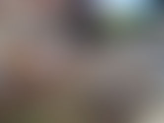 Casina Appia, avviata la messa in sicurezza dell'ex bar