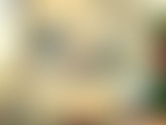 Liceo Manara, Tomassetti difende gli studenti: «Oggetto di attacco strumentale della Lega» [VIDEO]