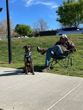 FestivalNeighbor.jpeg