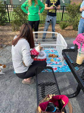 PuppyPen.jpeg
