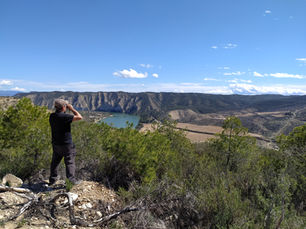 Observación de aves en el medio natural.