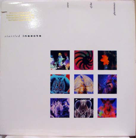 Startled Insects - Curse Of The Pheromones (LP, Album) Near Mint (NM or M-), Ver