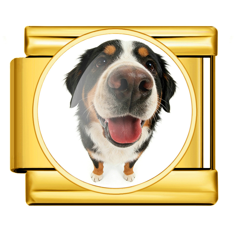 All golden - Mount Byrne - ICP-JRAA0004-2