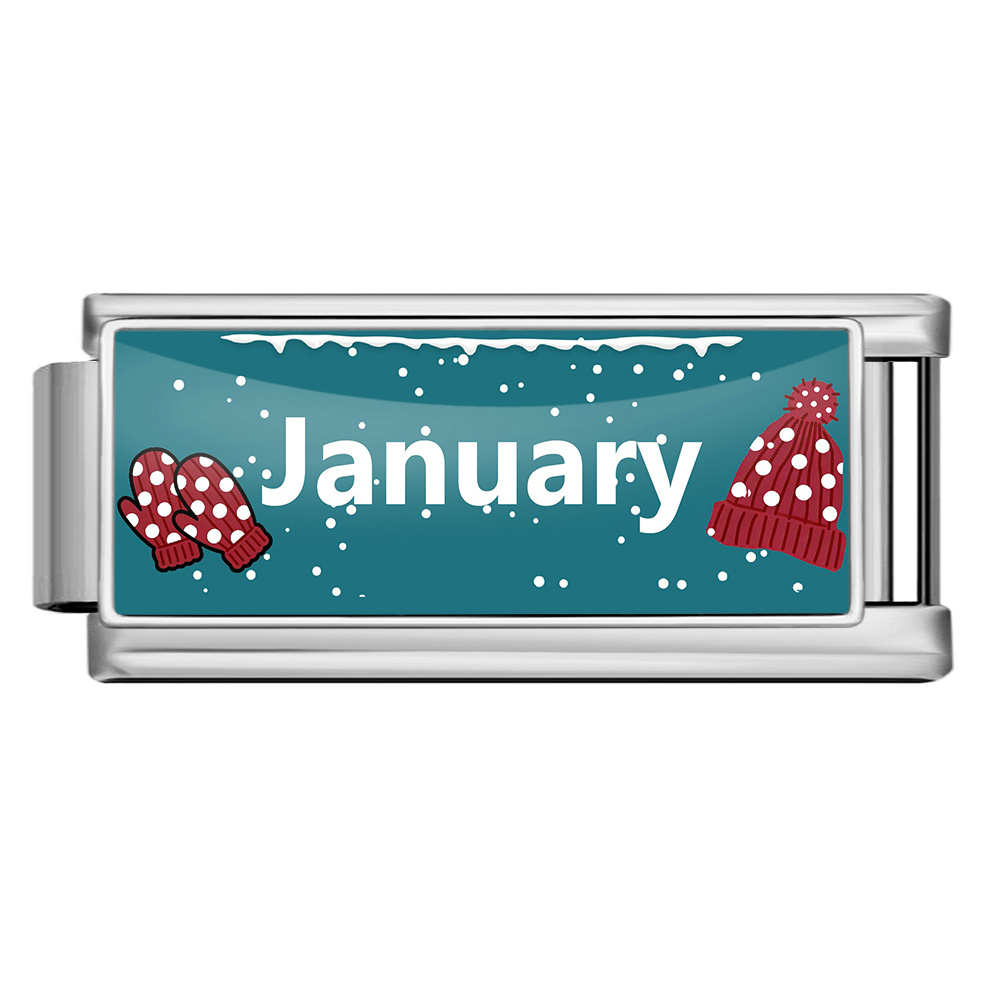 Months of the year-Long version silver