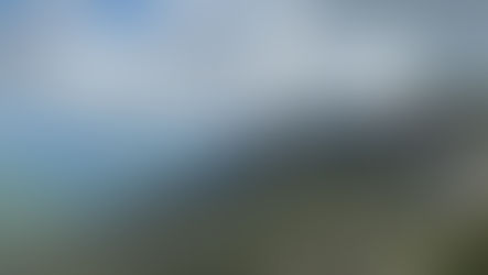 Sweet Summer in the Appalachian High Country