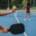Pickleball 2.png