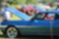 492411830_1262781892520137_2347811337432357548_n.jpg