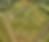 Land Lab.png