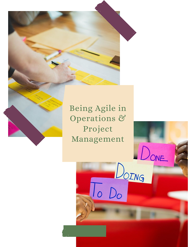Being Agile in Operations & Project Management