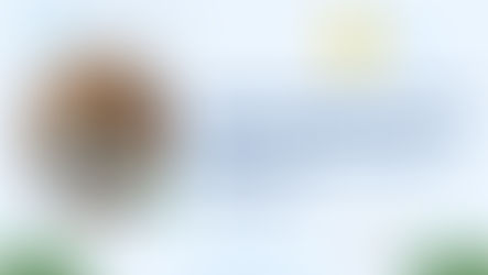 Cách các Salesforce Admin giao tiếp hiệu quả