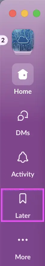 Purple app sidebar with icons and text: Home, DMs, Activity, Later. Vibrant colors; top shows three dots in red, yellow, and green.