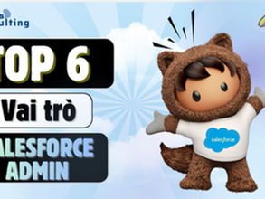 Top 6 Future Roles for Salesforce Admins