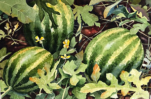 Watermelons.jpg