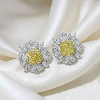 Aarya Gems Limited Yellow Diamond White Diamonds Earrings