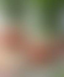 LunchBox Healthy WHY NOT ?