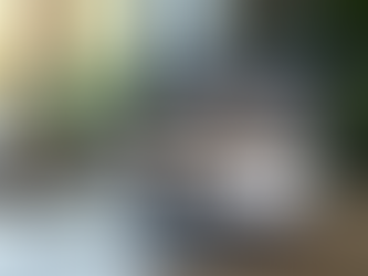 Transform Your Business: The Essential Role of a Professional Online Presence