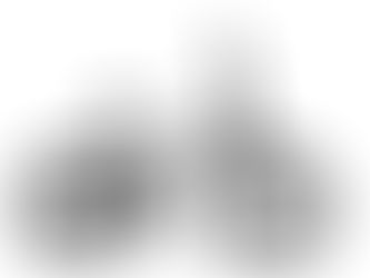 TRICKSTER 20 入荷しました!