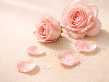 Rosenwasser – das Herz unserer Natural Glow Formel