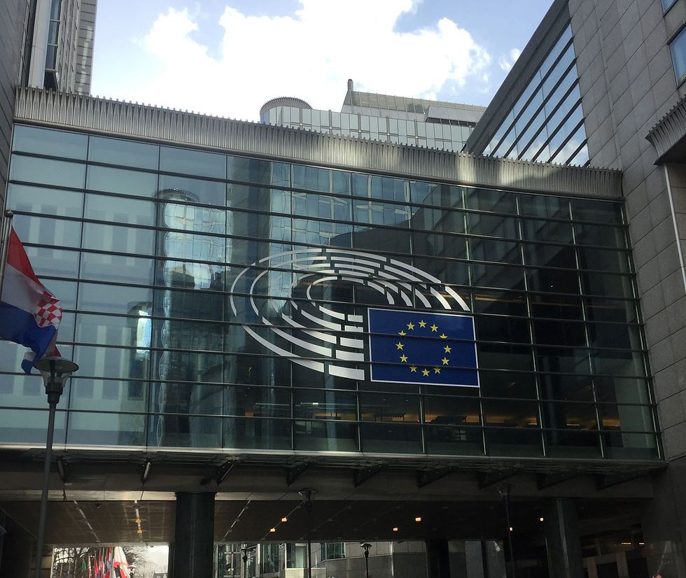 Making EU Buildings Energy Efficient