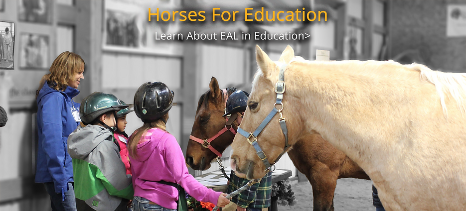 horsesforeducation.png