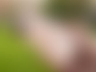 iPhone 11 Pro price in Bangladesh