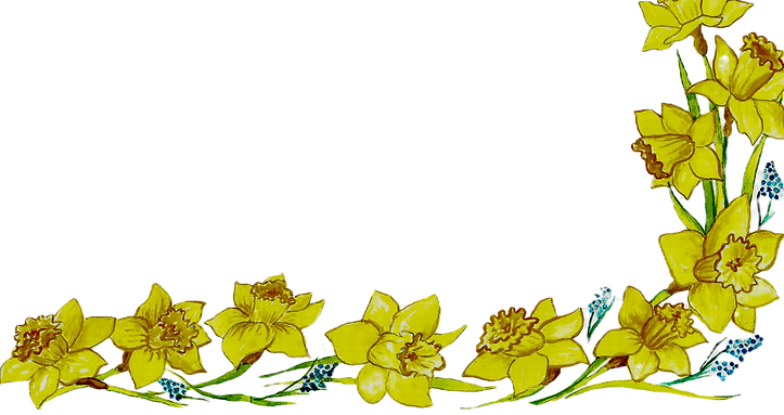 no background daffs_edited.png