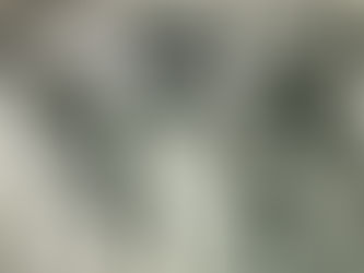 Celebrating Fifty Years: Stories from the Winter Festival Art Show & Sale